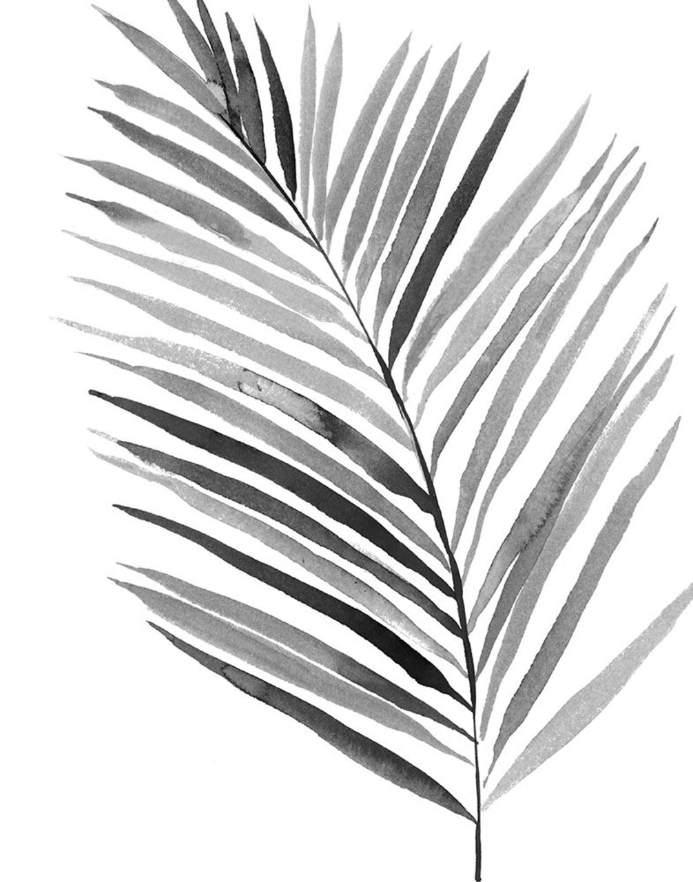 BW Palm IV Poster Print by PI Studio PI Studio - Item # VARPDXPX214A